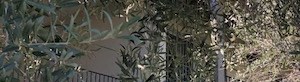 Los Angeles Banner Image 62